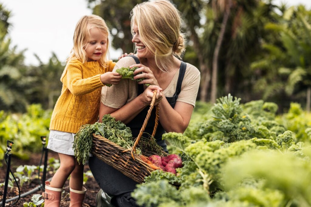 Eine Mutter und ihr kleines Kind pflücken gemeinsam frisches Gemüse in einem Gemüsegarten, während sie einen Korb mit Grünkohl und Kartoffeln tragen.